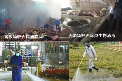 什么是微生物除臭剂(天仁雪微生物除臭剂)