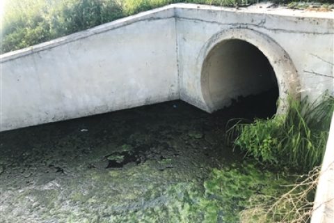 襄阳高效生物滤池多少钱