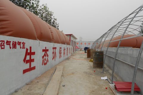 沼气发酵利用的除臭微生物是什么
