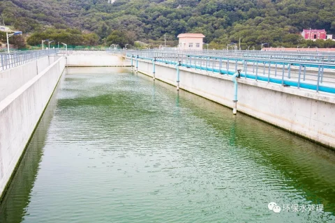 絮凝气浮池和生物滤池哪个好