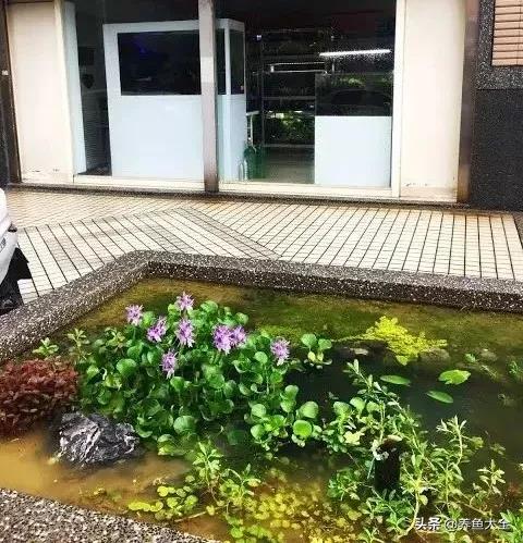 %title插图%num