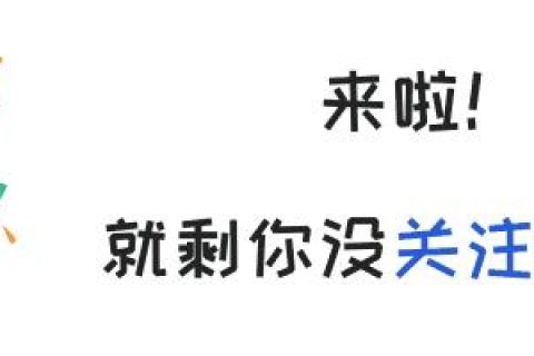 臭氧生物滤池怎么去除(生物滤池可以去除什么)