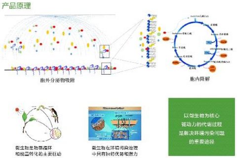 生物除臭剂有什么作用