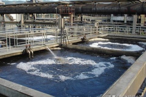 生物滤池里的氨氮怎么去除(曝气生物滤池对氨氮的去除率)
