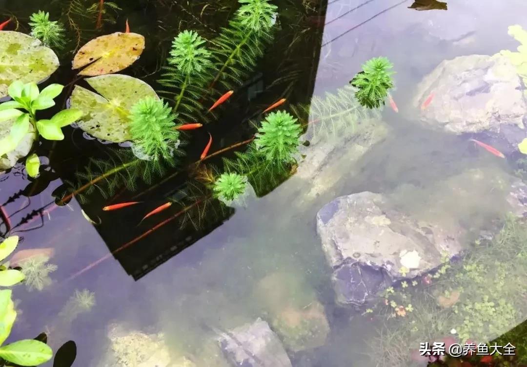 %title插图%num
