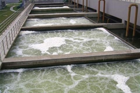 生物滤池里的滤料有什么用