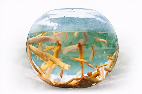 湖北化学化工生物滤池多少钱