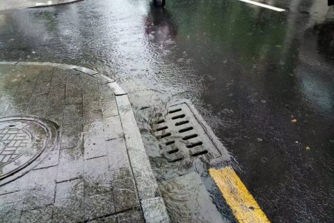 鹤壁pp生物滤池废气处理多少钱