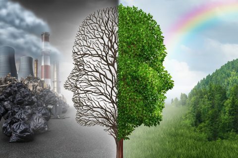 用什么生物能除臭