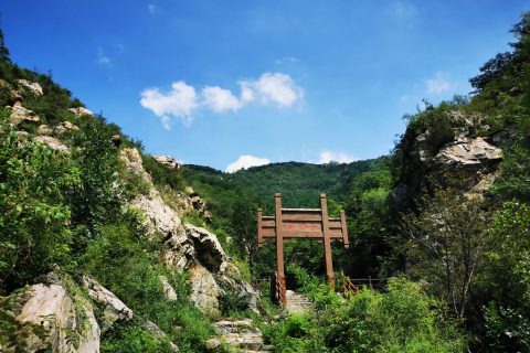 莱芜跌水曝气生物滤池多少钱