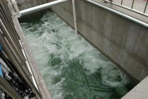 厌氧生物滤池包括哪些(厌氧生物滤池设计)