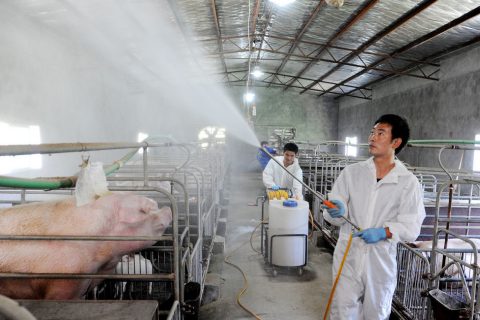 生物除臭滤塔每天需要补水多少