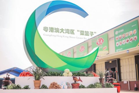 韶关生物菌除臭设备多少钱(天津生物菌除臭设备)
