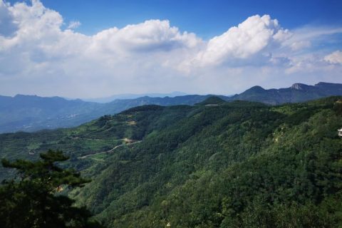 工业废气处理技术及其经济分析研究