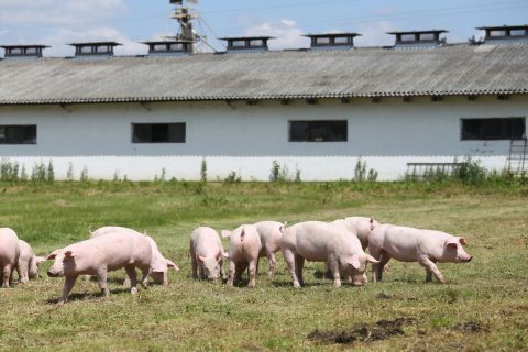 生物除臭箱为什么要有除雾层