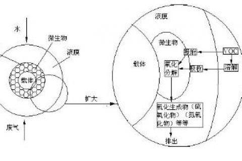除臭微生物菌剂是什么(微生物菌剂是什么做的)