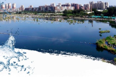 生物除臭箱检测需要哪些项