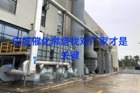白城催化燃烧找对厂家才是关键