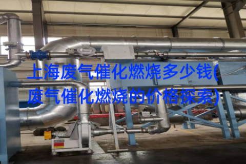 上海废气催化燃烧多少钱(废气催化燃烧的价格探索)