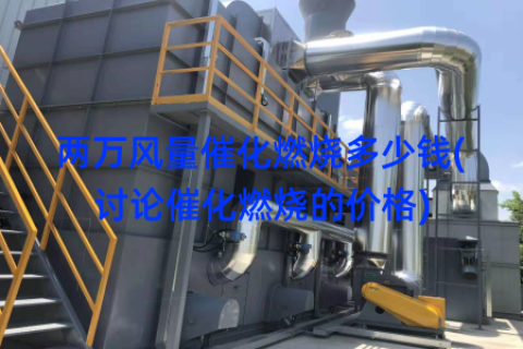 两万风量催化燃烧多少钱(讨论催化燃烧的价格)
