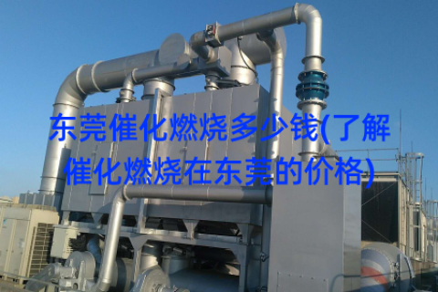 东莞催化燃烧多少钱(了解催化燃烧在东莞的价格)