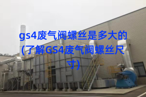 gs4废气阀螺丝是多大的(了解GS4废气阀螺丝尺寸)