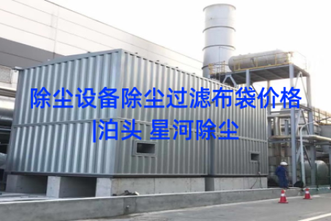 除尘设备除尘过滤布袋价格|泊头 星河除尘