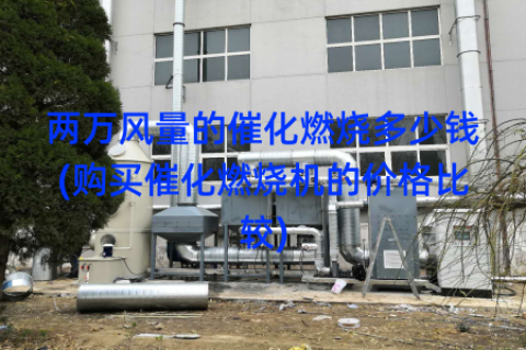 两万风量的催化燃烧多少钱(购买催化燃烧机的价格比较)