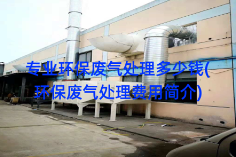 专业环保废气处理多少钱(环保废气处理费用简介)