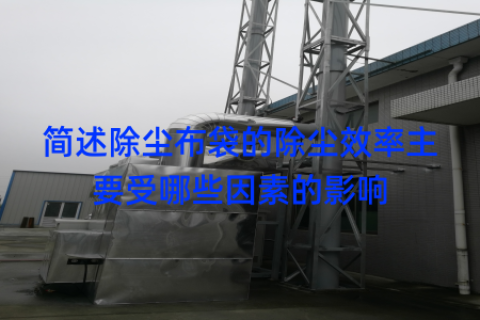 简述除尘布袋的除尘效率主要受哪些因素的影响