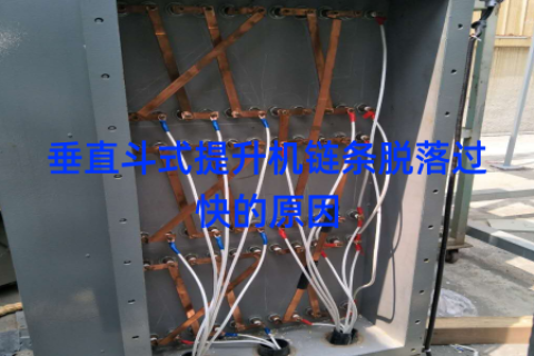 垂直斗式提升机链条脱落过快的原因