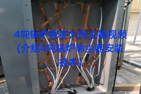 4吨锅炉配多大除尘器视频(介绍4吨锅炉除尘器安装技术)