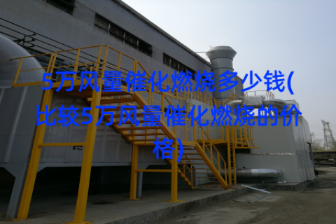 5万风量催化燃烧多少钱(比较5万风量催化燃烧的价格)