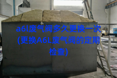 a6l废气阀多久更换一次(更换A6L废气阀的定期检查)