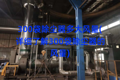 300袋除尘器多大风量(详细了解300袋除尘器的风量)