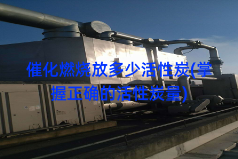 催化燃烧放多少活性炭(掌握正确的活性炭量)
