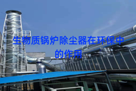 生物质锅炉除尘器在环保中的作用