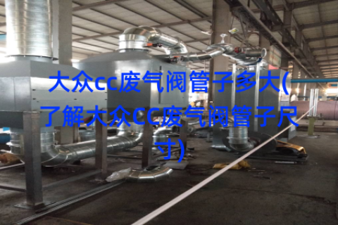 大众cc废气阀管子多大(了解大众CC废气阀管子尺寸)
