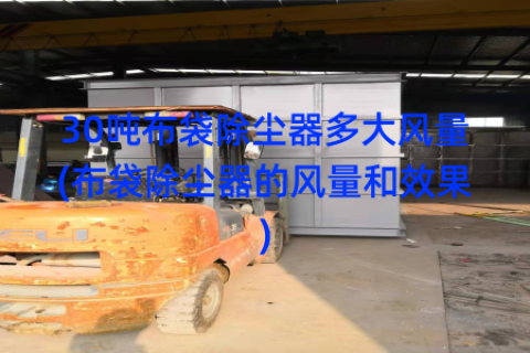 30吨布袋除尘器多大风量(布袋除尘器的风量和效果)