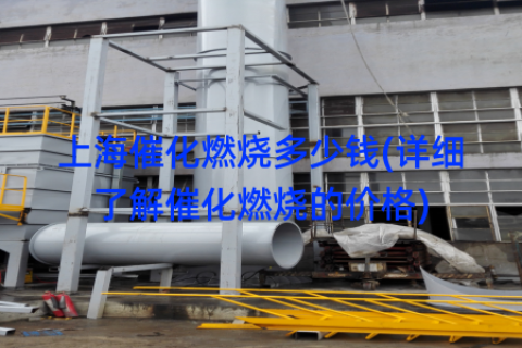 上海催化燃烧多少钱(详细了解催化燃烧的价格)