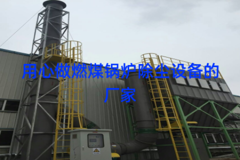 用心做燃煤锅炉除尘设备的厂家
