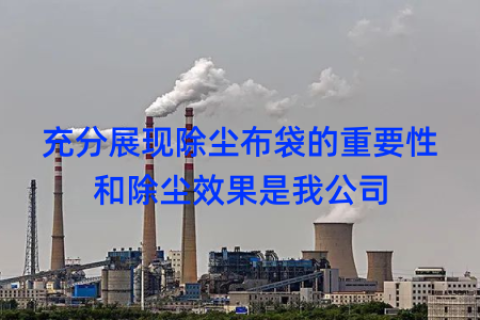 充分展现除尘布袋的重要性和除尘效果是我公司