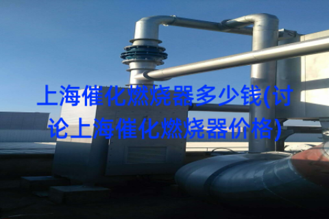 上海催化燃烧器多少钱(讨论上海催化燃烧器价格)