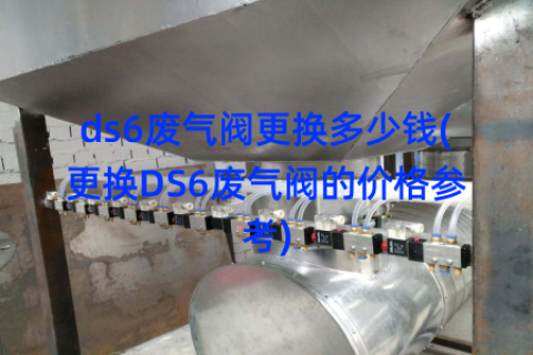 ds6废气阀更换多少钱(更换DS6废气阀的价格参考)