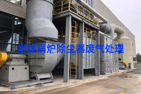 燃煤锅炉除尘器废气处理