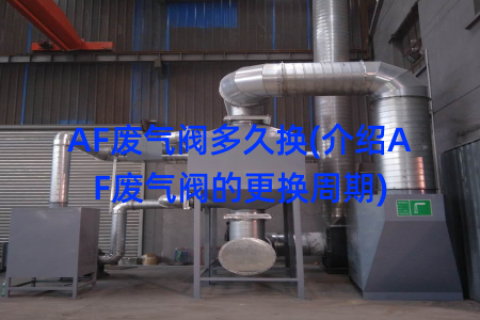 AF废气阀多久换(介绍AF废气阀的更换周期)