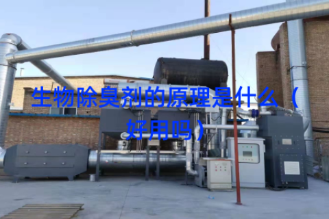 生物除臭剂的原理是什么（好用吗）