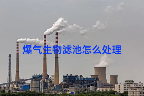 爆气生物滤池怎么处理