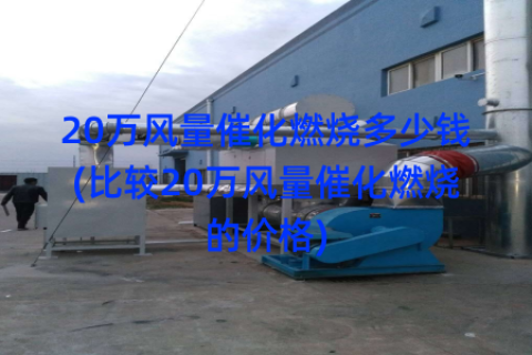 20万风量催化燃烧多少钱(比较20万风量催化燃烧的价格)