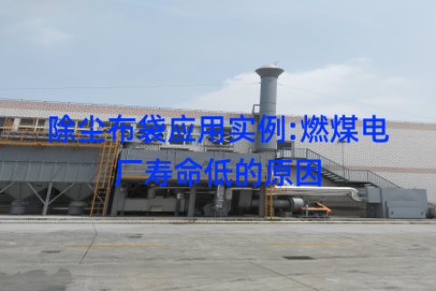 除尘布袋应用实例:燃煤电厂寿命低的原因